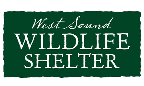 West Sound Wildlife Shelter