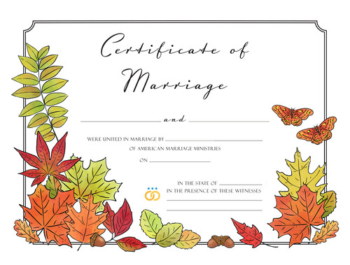 This creative fall themed wedding certificate has a delicate lined border and brightly colored illustrations of fall leaves, several acorns, and two sweet woodland moths. The art style is soft gouache or water color style, with warm oranges, reds, greens, and yellows. 